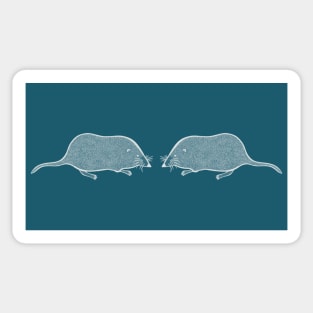 Pygmy Shrews in Love - cute and fun animal design Sticker